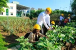 Những nỗ lực bảo vệ môi trường tại Ajinomoto Việt Nam