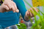 Chế độ ăn giảm muối và các bệnh mạn tính không lây