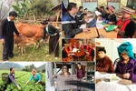 Xóa đói, giảm nghèo, bao nhiêu quốc gia làm được như Việt Nam?
