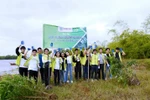 Xây tổ cho tương lai