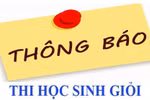 Đỗ học sinh giỏi coi như… mất Tết