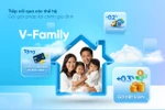 V-Family - Gói giải pháp tài chính dành cho triệu gia đình Việt
