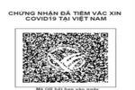 Bộ Y tế hướng dẫn quy trình cấp "Hộ chiếu vaccine"