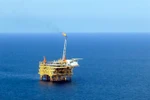 Petrovietnam nỗ lực duy trì nhịp độ cao trong sản xuất kinh doanh