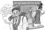 Ngứa chân thì phải gãi… đầu