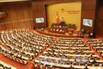 Quốc hội Việt Nam là của dân, do dân, vì dân và chỉ nghe dân