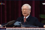 Trước vận mệnh quốc gia, dân tộc, không thể “Cua cậy càng, cá cậy vây”