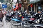 Hà Nội và cây gia phả của dòng họ “Không vội”