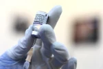 Bộ Y tế phê duyệt vaccine Pfizer cho trẻ từ 5-11 tuổi, liều 0,2ml