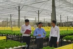 Nông nghiệp là thị trường trọng tâm, nông dân là người bạn đồng hành