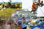 Những con sâu trong vườn hoa Xuân