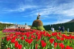 Sun World Ba Na Hills hứa hẹn hút khách dịp Tết Ất Tỵ với lễ hội hoa 2025