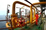 Quyết liệt tái cấu trúc, PVN nộp ngân sách Nhà nước 5 tháng đạt 55% kế hoạch năm
