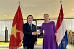 Quyết tâm đưa quan hệ Việt Nam-Hà Lan đi vào chiều sâu, hiệu quả