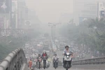 Quan gian, môi trường bẩn hay ...văn bản bị ô nhiễm nhằm che mắt Quốc hội?