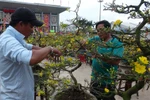 Làm thêm dịp Tết, thầy giáo suýt mất tiền công