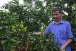 Ước mơ nhiều năm của nông dân Sơn La đang thành hiện thực
