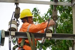 Tình hình hoạt động sản xuất kinh doanh tháng 7 năm 2022 của EVNNPC