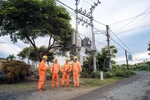 Đảm bảo điện trong dịp Lễ Noel, Tết Dương lịch và Tết Nguyên đán 2021