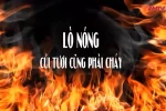 Mặt trời nào đang toả sáng ở Việt Nam? 