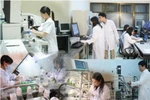 Tiếp tục nâng cao chỉ số xếp hạng của Việt Nam về đổi mới sáng tạo