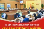 UBTVQH xem xét, thông qua Nghị quyết về sắp xếp đơn vị hành chính cấp huyện, xã