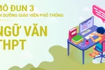 Giáo viên than Trời khi học modul 3 môn Ngữ văn