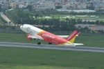 Vietjet vận chuyển mai, đào dịp Tết Kỷ Hợi 2019