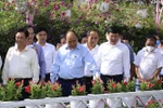 Chủ tịch nước khảo sát một số mô hình kinh tế hợp tác, hợp tác xã tại Đồng Tháp