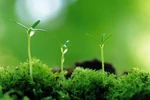 Bao giờ chúng ta không phải sống với nỗi lo bụi mịn, rác thải ô nhiễm?