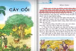 Sách giáo khoa Tiếng Việt lớp 2 có phải sai ngữ pháp, diễn đạt?