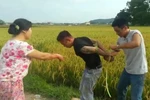 Luật rừng và rừng luật