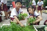 Trường Tiểu học Đông Hòa B thực hiện tốt "học đi đôi với hành"
