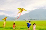 Có những mùa hè như thế