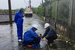 EVNNPC huy động toàn bộ nhân lực hỗ trợ các Điện lực ngay khi bão số 3 đi qua