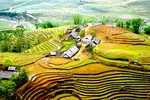 Tiếng Việt trong thế giới toàn cầu