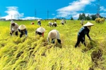 Người Việt hiếu học, cần cù, sáng tạo… sao vẫn nghèo?