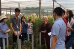 Ngành giáo dục Gò Vấp tự túc kinh phí đi học tập thì chẳng vấn đề gì!