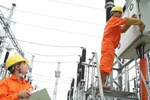 Sắp xếp, tổ chức lại, thành lập các đơn vị hạch toán phụ thuộc EVN
