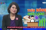 Quá nóng, quá lạnh đều mất ngủ, chỉ có heo may là yên giấc nồng!