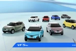 Đặt trước VF 5 Plus đầu tháng 7, “bỏ túi” tới 30 triệu đồng
