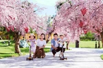 Băn khoăn chọn nhà của phụ huynh – nỗi lòng chỉ khi có con mới hiểu 
