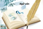 Dự thảo Ngữ văn mới chỉ dạy học sinh biết nghe, nói, đọc, viết mà vẫn quá tải