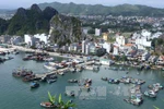 Không thể vì lợi ích giả tưởng mà gây áp lực cho an ninh quốc gia