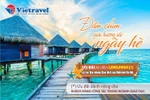 Hè tràn cảm xúc - ngàn lời tri ân dành cho các thầy cô