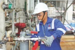 DMC thực thi đồng bộ các giải pháp để tái cấu trúc thành công