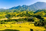 Vẻ đẹp quyến rũ của Sa Pa mùa lúa chín 