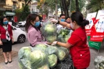 Nông sản Hải Dương: Nơi giải cứu, nơi buộc 'quay đầu'
