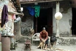 Hội chứng “cán bộ 00 biết” và niềm tin “người dân 00 còn” 