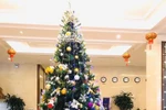Không khí giáng sinh tràn ngập khu đô thị Thanh Hà